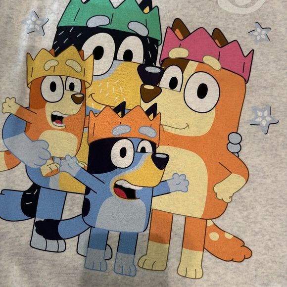 Bluey Sweatshirt Size M NWT - Picture 2 of 4